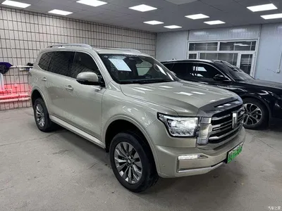 2023 Tank 500 EV Hi4-T, фото 3, лот 10302372