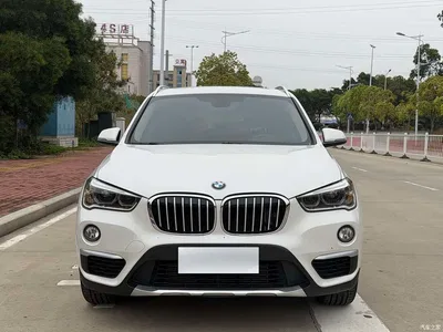 2019 BMW X1 xDrive20Li Premium Model, фото 2, лот 10466389