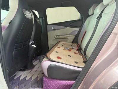 2023 BYD Dolphin 420km Fashion Edition, фото 4, лот 10626272
