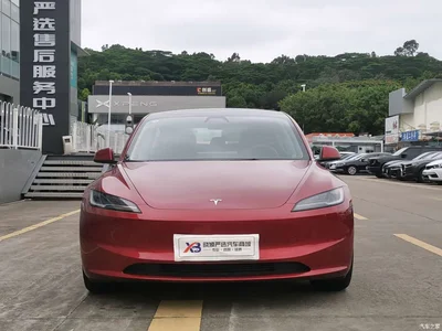 2025 Tesla Model 3 Model Rear-Wheel Drive Edition, фото 2, лот 10362548