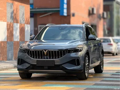 2021 Voyah Auto VOYAH FREE AWD Standard Range Extender Exclusive Luxury Package, фото 1, лот 10956499