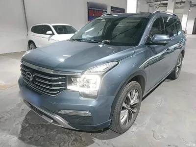 2017 GAC Trumpchi Trumpchi GS8 320T 2WD Luxury Smart Connect (7-seater), фото 1, лот 10421853