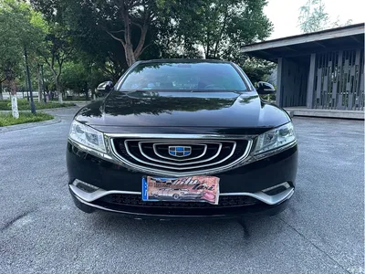 2016 Geely Borui 2.4L Comfort Edition, фото 3, лот 10359531