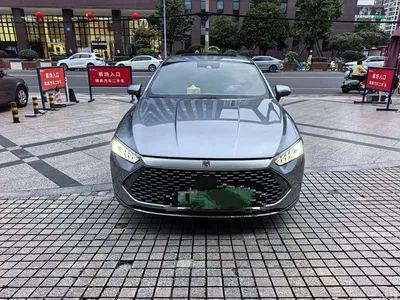 2021 BYD Qin PLUS DM-i 120KM Flagship, фото 3, лот 11539755