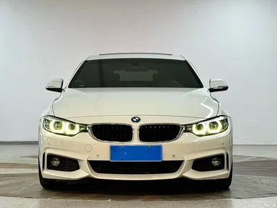 2017 BMW 4 Series 425i Gran Coupe Leading M Sport Package, фото 2, лот 10842451