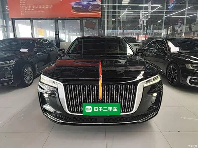 2020 Hongqi H9 Facelift 2.0T Smart Connect Flagship, фото 3, лот 10289360