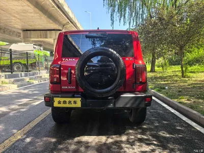 2021 Tank 300 Off-road Version 2.0T Conqueror, фото 4, лот 10356912