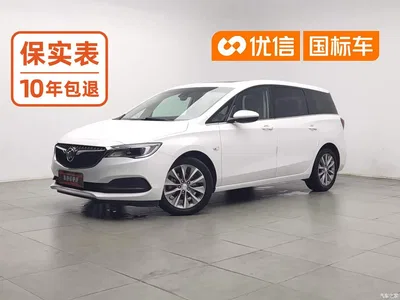 2019 Buick GL6 18T 6-seat Connected Luxury China VI, фото 1, лот 11248735