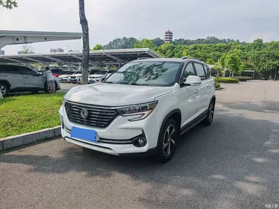 2020 Dongfeng Fengxing T5 1.5T Automatic Luxury China VI, фото 1, лот 11159302