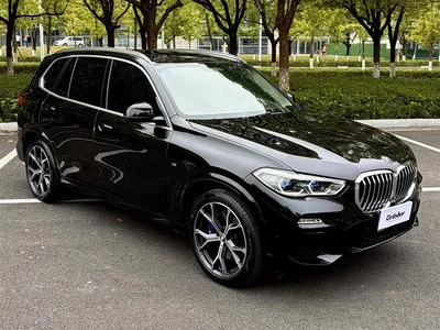 2019 BMW X5 (Import) xDrive40i Exclusive M Sport Package, фото 4, лот 10624882