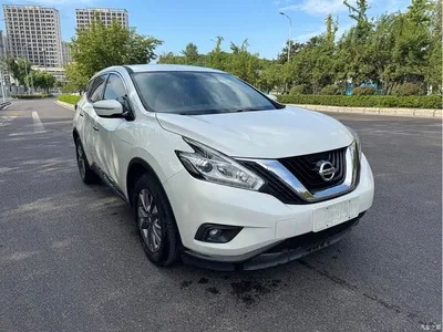 2019 Nissan Murano 2.5L XL 2WD Smart Connect Luxury (China V), фото 3, лот 10337998