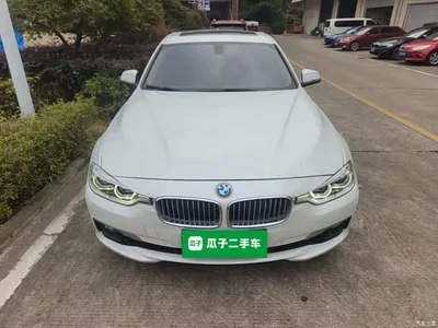 2018 BMW 3 Series 320Li Fashion Style, фото 3, лот 10955300