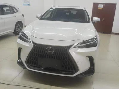 2022 Lexus NX 260 FWD Joy Creation Edition, фото 2, лот 10316318
