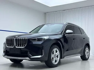 2023 BMW X1 sDrive20Li X Design Package, фото 1, лот 10445860