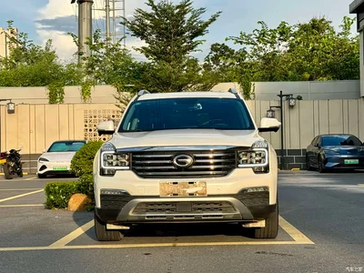 2017 GAC Trumpchi Trumpchi GS8 320T 2WD Luxury Smart Connect (7-seater), фото 3, лот 10415452