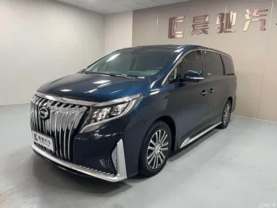 2023 GAC Trumpchi Trumpchi M8 Leading Series 390T Prestige Edition, фото 1, лот 10414613