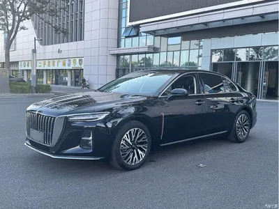 2023 Hongqi H5 2.0T Auto Smart Connect Flag Comfort, фото 1, лот 10288452
