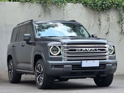 2024 Haval H9 2.0T Gasoline AWD Extreme Edition, фото 3, лот 10297160