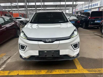 2020 Weltmeister EX5 EX5-Z Fun Dynamic Edition, фото 2, лот 11139127