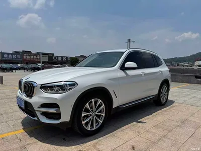 2019 BMW X3 xDrive25i Luxury Package, фото 1, лот 10461093