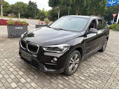 2018 BMW X1 xDrive20Li Premium Model, фото 1, лот 10466033