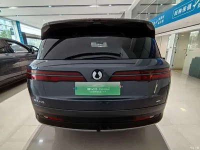 2025 Denza N9 Flagship Model, фото 4, лот 10404360