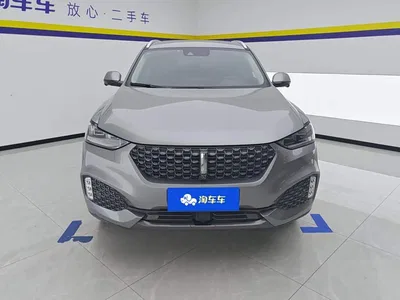 2020 WEY VV6 2.0T 2WD Smart Protection+, фото 2, лот 11018554