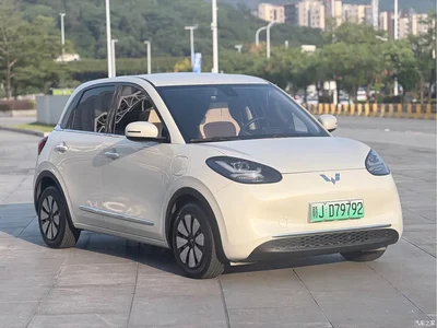 2023 Wuling Motors Wuling Bingo 333km Joyful Version, фото 3, лот 10842401
