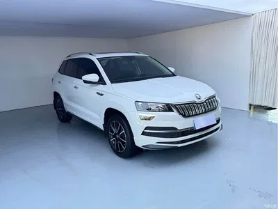 2023 Škoda Karoq TSI280 Premium Edition, фото 3, лот 10349526