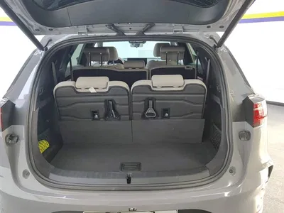 2025 BYD Tang New Energy Smart Driving Edition DM-i 115KM Premium, фото 4, лот 10384293