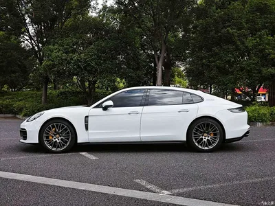 2023 Porsche Panamera Facelift Panamera Executive Long Wheelbase Platinum Edition 2.9T, фото 4, лот 10406037