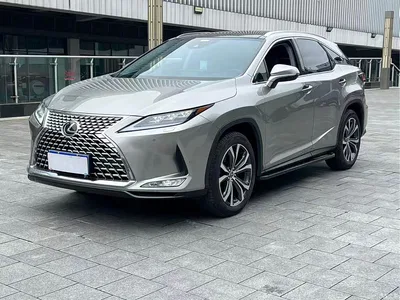 2021 Lexus RX 300 AWD Special Edition, фото 1, лот 11133714