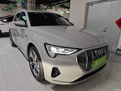 2019 Audi e-tron (Import) 55 quattro Technology, фото 4, лот 11221929