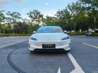 2025 Tesla Model 3 Model Rear-Wheel Drive Edition, фото 3, лот 10404618