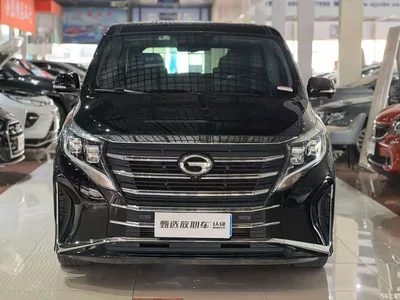 2023 GAC Trumpchi Trumpchi M8 Leading Series 390T Ultimate Edition, фото 2, лот 10420029