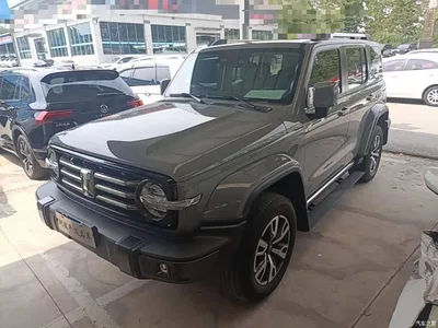2021 Tank 300 Urban Edition 2.0T Stylish, фото 2, лот 10476679