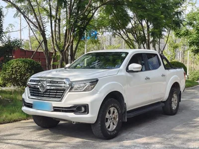 2019 Dongfeng Rich 6 2.4L Manual 4WD Gasoline Standard China VI 2TZD, фото 1, лот 11226495