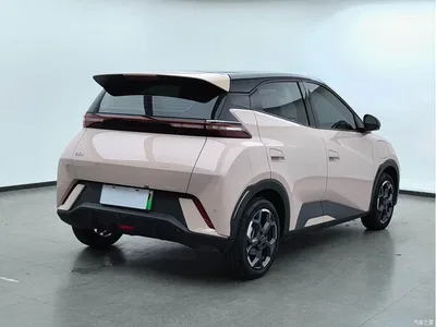 2025 Byd Seagull, фото 4, лот 10248385