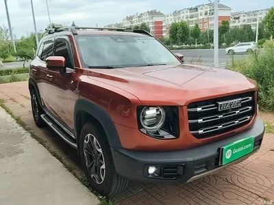 2021 Haval Big Dog 2.0T DCT 4WD Chinese Rural Dog Edition, фото 4, лот 10361286