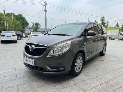 2017 Buick GL8 25S Luxury China V, фото 1, лот 10253477