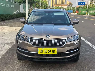 2019 Škoda Karoq TSI280 Smart Drive Premium Edition China VI, фото 2, лот 10348590