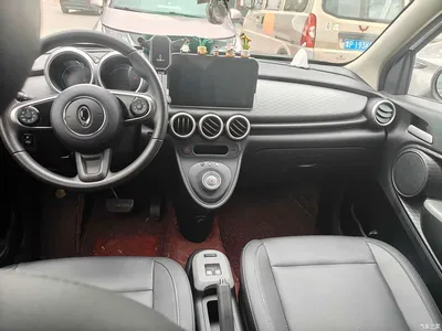 2019 Ora Black Cat 351km Smart Edition, фото 4, лот 10400763