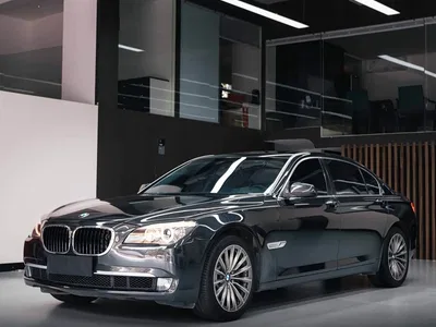 2009 BMW 7 Series 750Li Premium, фото 1, лот 10459022