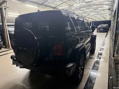 2023 Tank 300 Urban Edition 2.0T Very Stylish, фото 3, лот 11140468