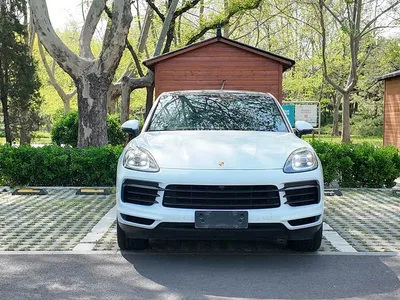 2019 Porsche Cayenne, фото 3, лот 10423828