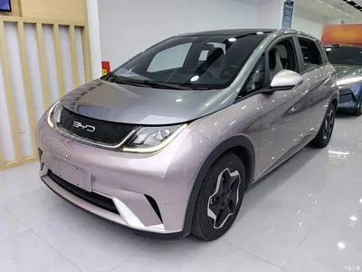 2021 BYD Dolphin Model 405km Fashion Edition, фото 1, лот 10259712