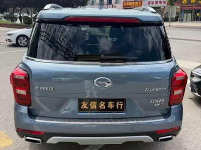 2017 GAC Trumpchi Trumpchi GS8 320T 2WD Luxury Smart Connect (7-seater), фото 4, лот 10415251