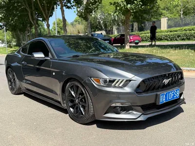 2015 Ford Mustang 2.3T Performance Edition, фото 3, лот 10280251