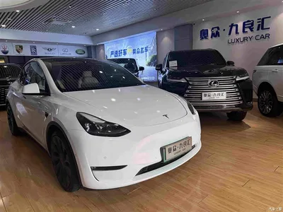 2022 Tesla Model Y Performance High-Performance All-Wheel Drive Version, фото 1, лот 10689005