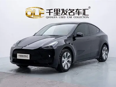 2022 Tesla Model Y Rear-Wheel Drive Version, фото 1, лот 11082068